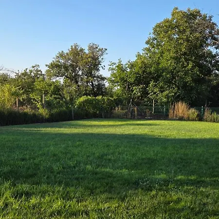 Family House Go To - Parking & Dog Yard
